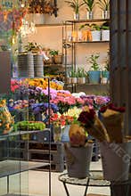 Flower shop, bouquets, vases and decorative stuff for home and celebrations