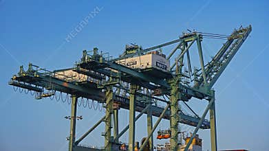 Tall gantry cranes are a critical component in the supply chain, loading and unloading cargo in ports worldwide.
