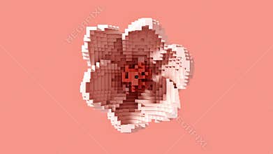 Transformation of a 3D pixel into a digital blooming flower. Seamless looped. NFT concept.