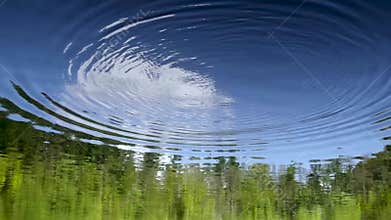 Falling stone makes ripples in forest pond reflecting trees sky cloud