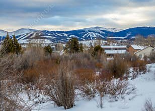 The Natural Beauty of Winter in Fraser, Colorado