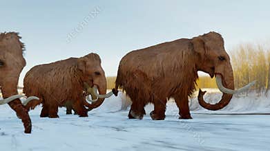 Wooly Mammoths Gathering on Frozen Lake Animation