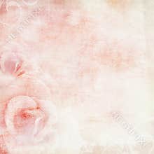 Pink wedding background with roses