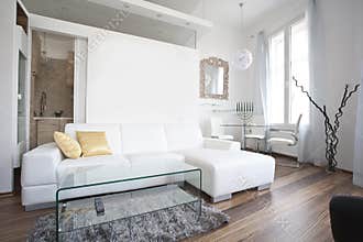 Living room interior design