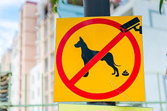 prohibition symbol for public places. No poop and pee dog