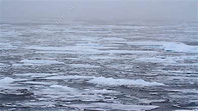 Arctic sea ice landscape, Arctic Ocean, Svalbard