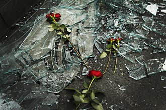 Roses on top of broken windows