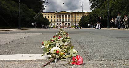 Road of roses towards the norwegian castle