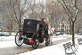 Winter Snow in Central Park