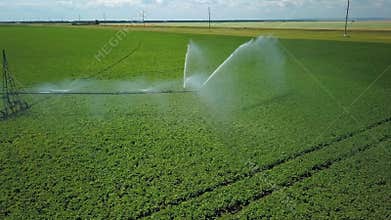 Round flight over irrigation system on field at sunny summer day, aerial shot
