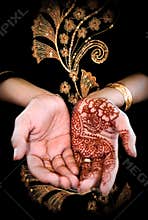 Mehendi, henna on bride's hand - Color 02