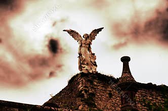 The angel
