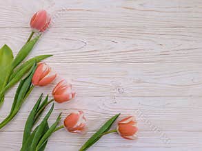 Tulip flower vintage  birthday   on old wooden background season romantic