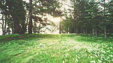 Mountain landscape, sunrise over forest and green fields, aerial 4k video