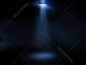 Stage light
