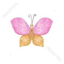 Pink and beige butterfly watercolor illustration isolated on the white background, simple hand drawn colorful clipart for cards,