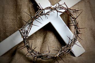 Crown of thorns