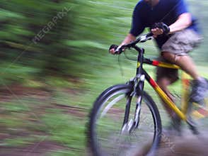 Biking through the forest