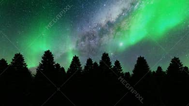 Night pine trees northern lights Winter landscape Green trees