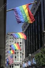 Boston downtown with US and Rainbow flags