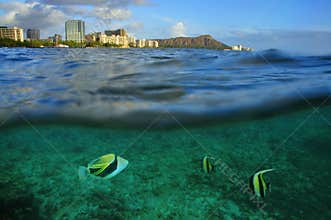 Waikiki, Oahu, Hawaii