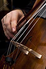 Male hands playing cello