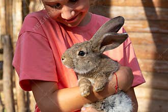 A child holding a cute gray rabbit looking at camera in a petting zoo or a farm.