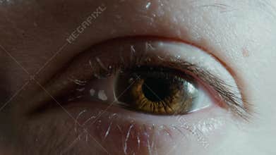 Young woman with wonderful chestnut eye looks into camera