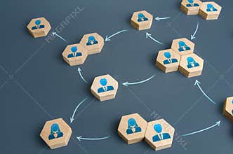 Communication of people in the business of the company. Delegation of work and responsibilities. Functioning of departments