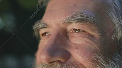 Face Of Gray Haired Man With Beard. He Is In The Park. He Smiles.