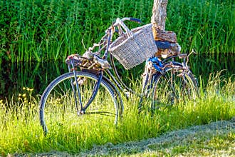 An old bicycle turned into an art object