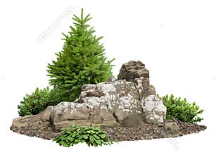 Cutout rock surrounded by pine trees