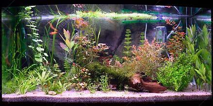 Aquarium