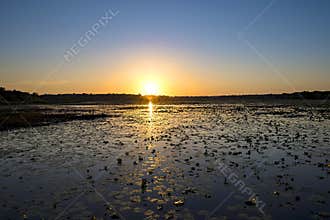 Sunrise Over Crews Lake In Spring Hill