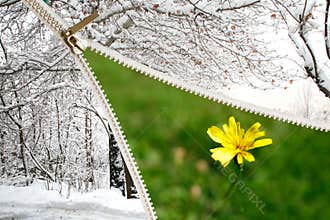 Spring is coming