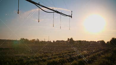 agriculture irrigation. Irrigation system. automatic artificial irrigating system for agricultural field. at sunset, in