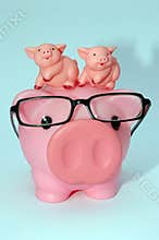 Parenting piggy style