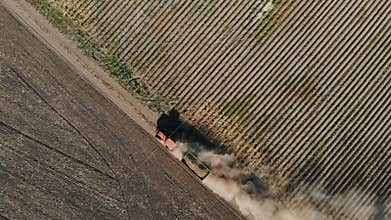 potato harvesting. truck with potatoes. tractor, with a trailer full of freshly harvested potatoes, drives on a dusty