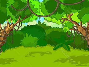 Tropical Forest Landscape