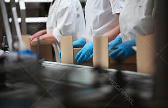 People working on packing line in factory - semi automation