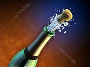 Champagne bottle
