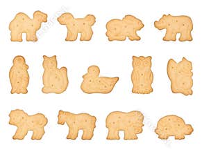 Animal Shaped Cookies