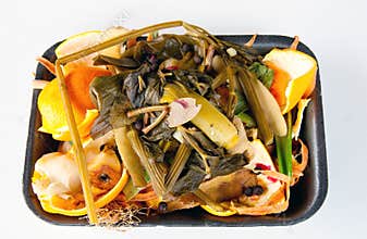 Organic waste ready to compost