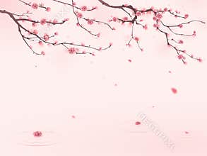 Oriental style painting, cherry blossom in spring