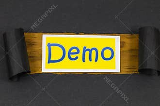 Demo test market beta free preview deal demonstration product