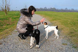 Senior woman takes a walk with her dogs