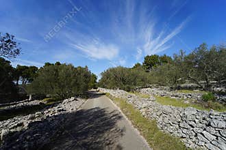 Dalmatian landscape on the island of Korcula