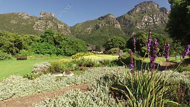 Kirstenbosch botanical gardens - Cape Town
