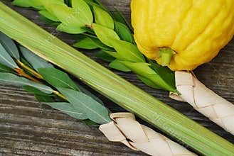 Lulav and Etrog
