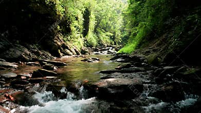 Aerial view of small stream surrounded with lush forest